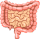 Enfermedades gastrointestinales